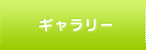 ギャラリー